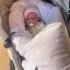 Páperová zavinovačka Klasik Tulipány