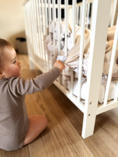 Súprava Pérová perinka s vankúšikom  Lvičci